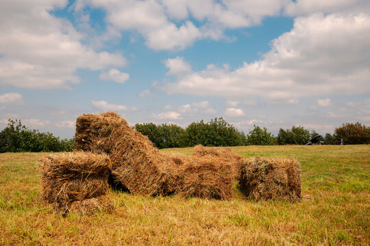Hay bales resting on a summer field