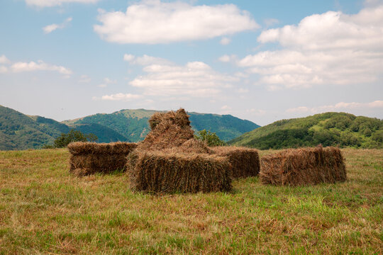 Haystacks drying in field with mountains background