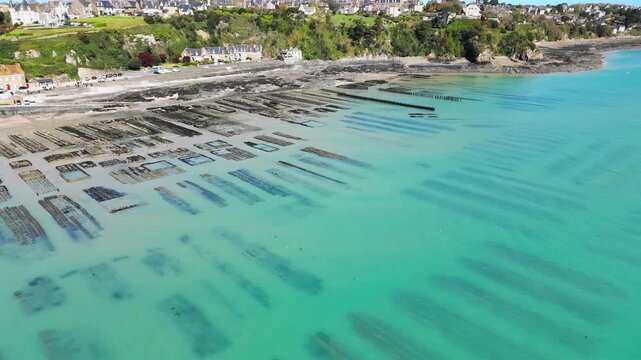 Drone footage of oyster farming in Cancale, Brittany, featuring coastal shellfish cultivation on the tidal flats of northern France