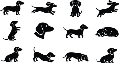 Fototapeta premium Minimalist Black Dachshund Dog Silhouette Icon Vector Set with Wiener Hound Poses for Pet Shop and Veterinary Branding Designs