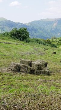 Hay bales stacked on a field with mountains in the background