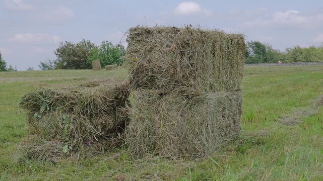 Farm hay bales stacked in a field with clear sky overhead