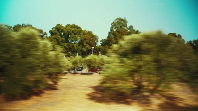A train journey through the olive groves and nature of Calabria