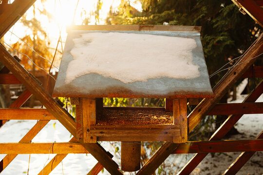 Backlit snow rests on rustic bird feeder above seed tray, with sunlit wooden frame and soft blurred trees