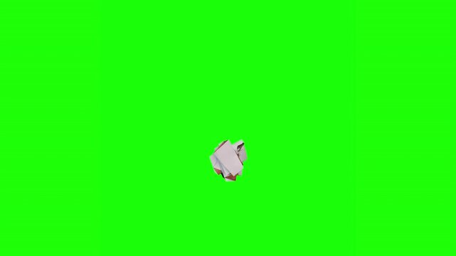 animal paper unfolding flamingo head animation