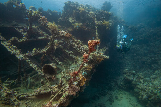 Scuba diver exploring a massive sunken shipwreck overgrown with colorful corals underwater