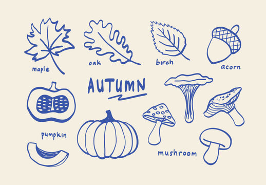 Hand Drawn Autumn Nature Doodle Collection Line Art with Maple Oak Birch Leaves Pumpkin Mushrooms and Acorn