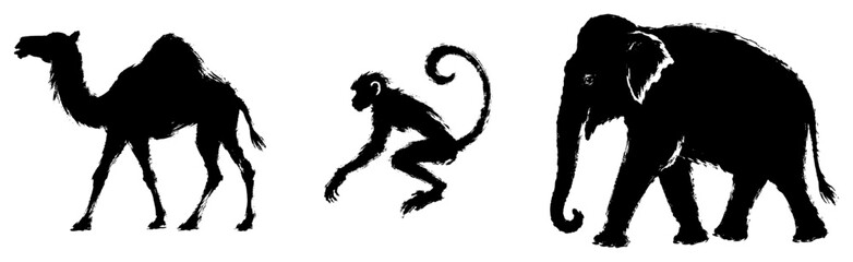 Wild animal silhouettes of camel monkey and elephant in ink brush style © Wera