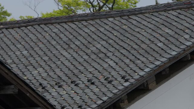 山居倉庫建屋の二重屋根の瓦