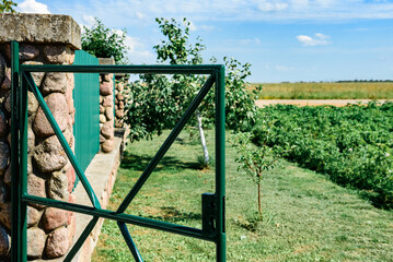 Fototapeta premium Painting a metal fence with green paint and a brush in summer.