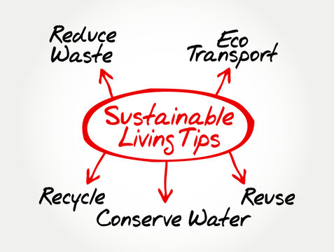 Sustainable Living Tips mind map with Reduce Waste, Eco Transport, Recycle, Conserve Water, Reuse text concepts for environmental protection plan, nature preservation and ecology science courses.