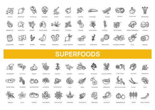 Superfoods line vector icons. Vector Organic superfoods