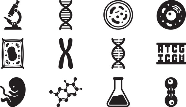 Set of twelve black and white biology and science featuring a microscope, dna helix, petri dish, cell structures, chromosome, genetic code, embryo, molecule, and laboratory flask
