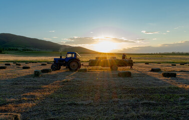 Tractor carrying hay bales in a rural field during sunset © beqa