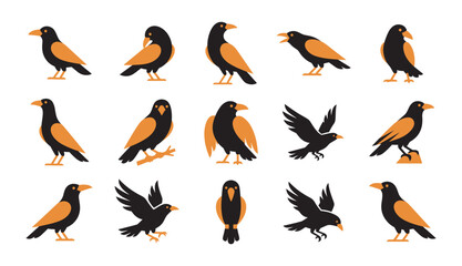 Fototapeta premium A collection of fifteen detailed illustrations featuring various crows and ravens in different poses isolated on a plain white background surface