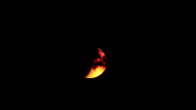 Orange half Moon setting behind tree silhouettes near the horizon.
