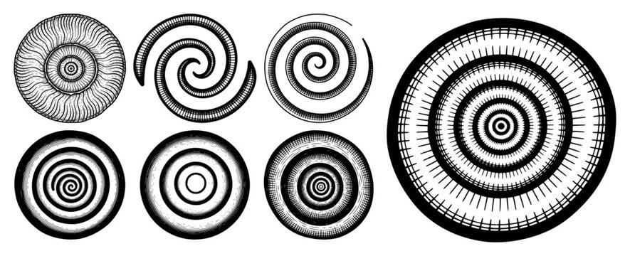 Concentric circles and spiral patterns set in hand drawn engraving style