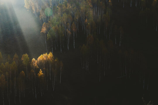 amazing autumn landscape with colorful trees