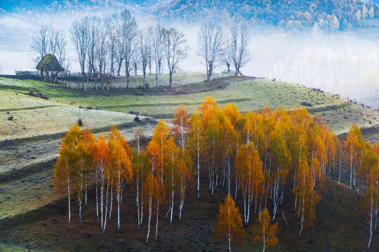 amazing autumn landscape with colorful trees