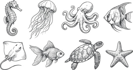 Hand drawn sketch sea creatures vector illustration set with turtle octopus jellyfish seahorse starfish stingray and fish isolated on white background © MdArif