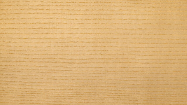 European ash wood grain background