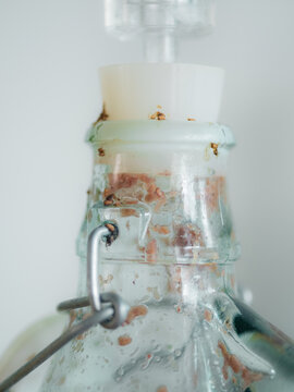 Fermentation carboy closeup 