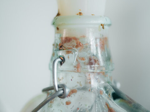 Closeup of fermentation bottle 