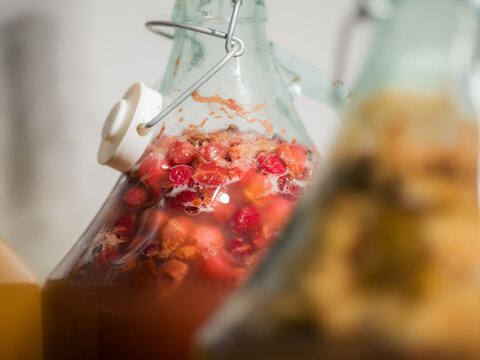 Homemade mead fermentation process