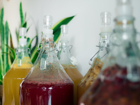 Bottles of Fermented Drinks in a Home Environment