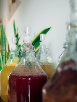 Carboys with different fermenting beverages at home 