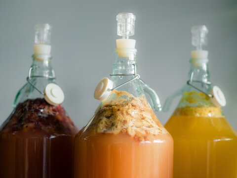Fermenting Drinks in Glass Bottles at a Kitchen Countertop