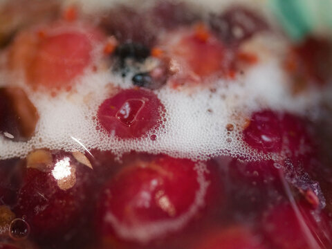 Mead fermentation 