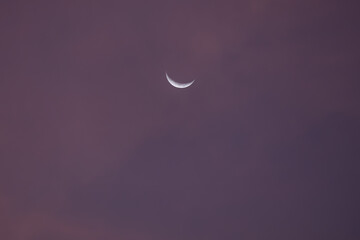 Moon in the purple sky © Camilo Peláez