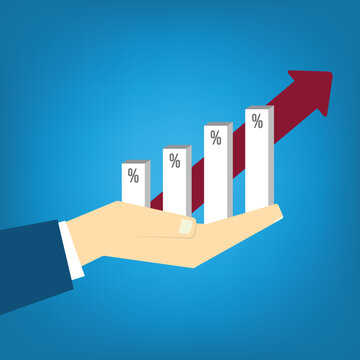 Financial Infographic with Business Growth Chart and Percentage Columns