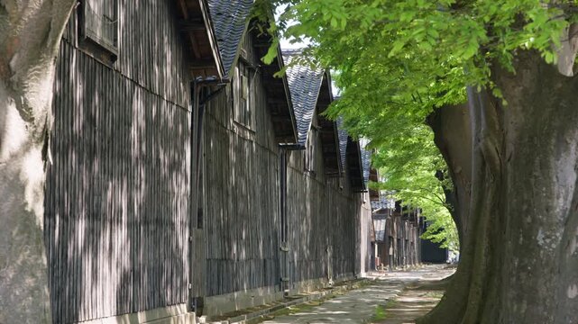 山居倉庫裏側のケヤキ並木道と倉庫建屋（倉庫北端から）