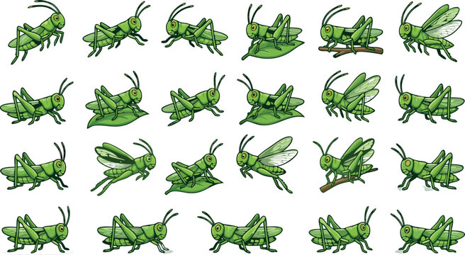 Green grasshopper and locust insect character icon set vector illustration showing bugs jumping flying crawling on leaves and twigs for agriculture and biology designs
