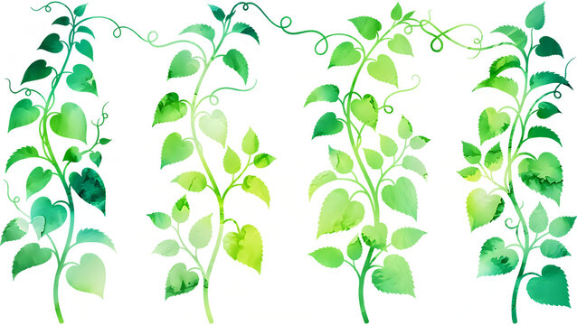 Set of four watercolor PNG climbing plant vines with heart-shaped green leaves isolated on a transparent background