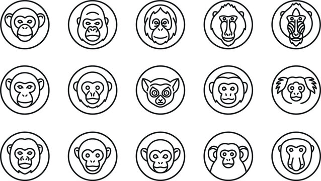Set of monkey and primate animal face vector flat illustration icons in a simple outline style
