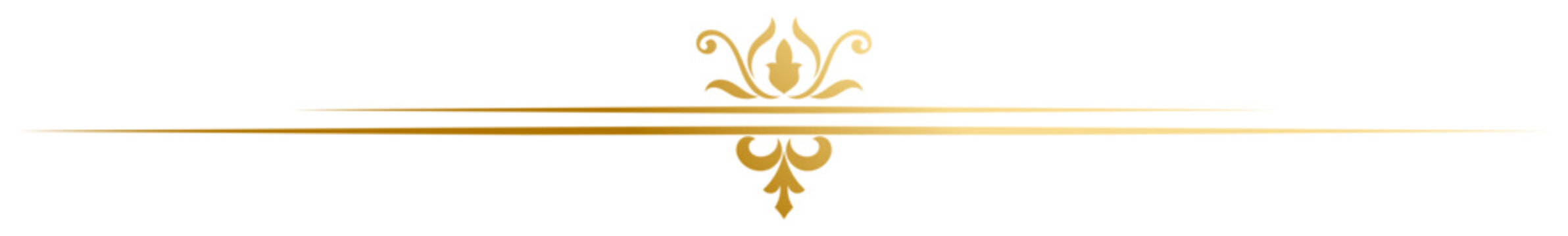 Luxurious gold divider line decorative line for text.