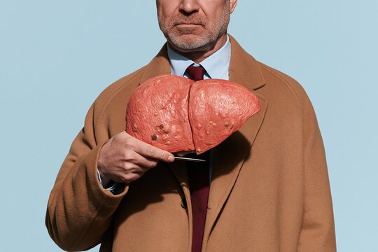 Anatomical liver model with nodules held by a man in a brown coat, presenting a textured resin organ for hepatology education and liver disease awareness