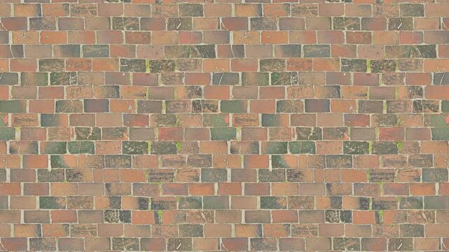 Weathered red brick wall texture provides a seamless loop background.