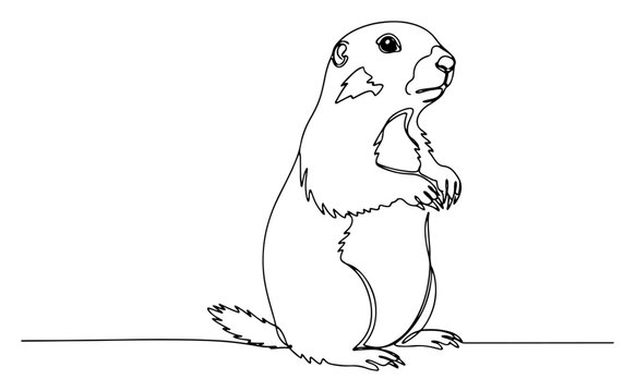 Groundhog standing on hind legs in continuous line drawing style