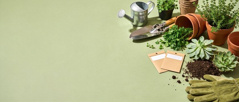 Vibrant gardening supplies and plants arranged on a natural green background