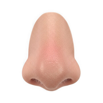 Close up view of a human nose on a plain background