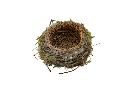Empty bird nest made of twigs and moss