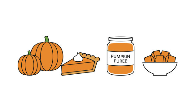 Delicious array of pumpkin products featuring whole pumpkins, a slice of pie, canned puree, and cubed pumpkin pieces.