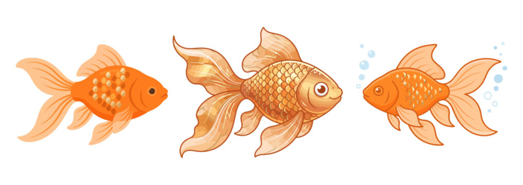 Goldfish Color Vector Illustration Set on PNG Background, goldfish, gold fish, aquarium fish, pet fish, ornamental fish, fancy goldfish, aquatic animal, freshwater fish, fish, orange fish,