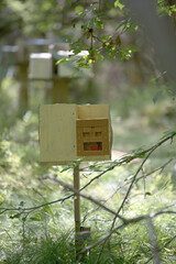 Fototapeta premium Wooden beehives in dappled light in a summer apiary