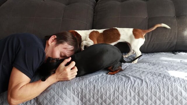 homem recebe amor e carinho de cachorro da ra&ccedil;a duchshund 
