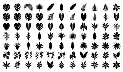 Obraz premium Minimal Tropical Leaf Silhouettes Vector Collection Black Botanical Foliage Icons